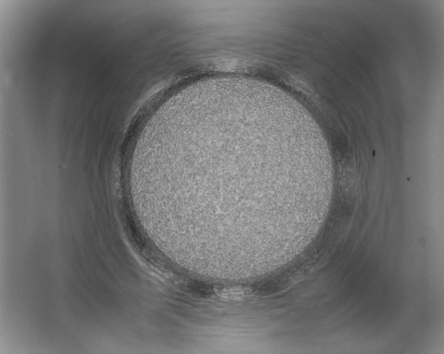 X0000066520587200604141816