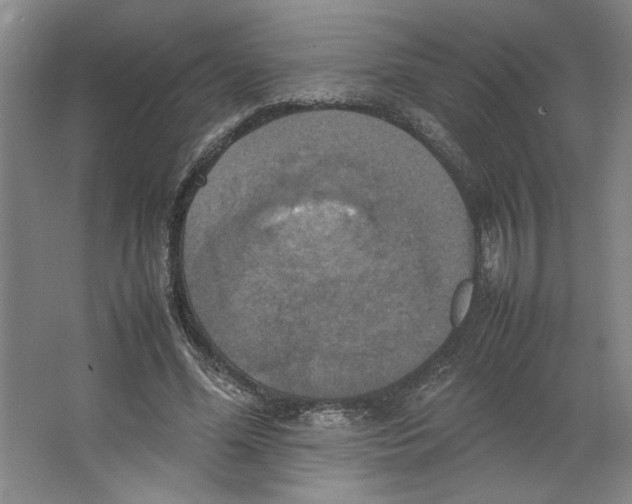 X0000066520588200604141816