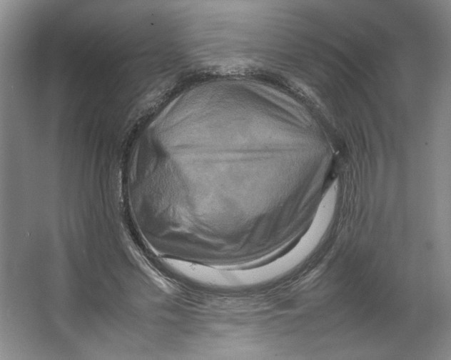 X0000066520589200604141816