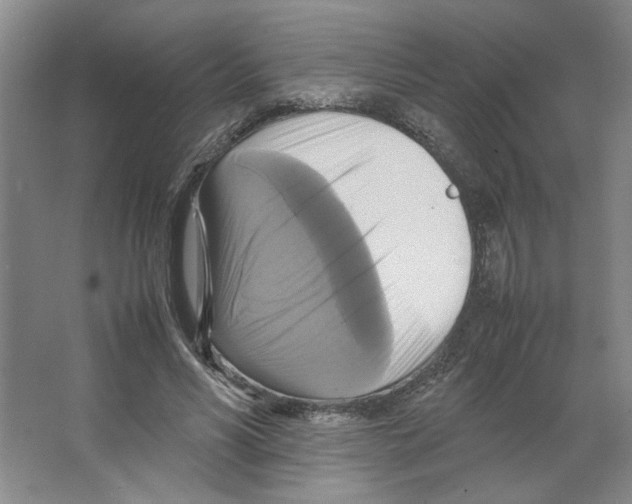 X0000066520590200604141816