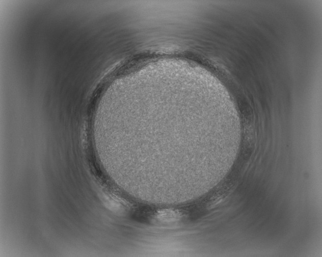 X0000066520591200604141816