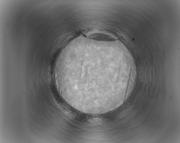 X0000066520594200604141816