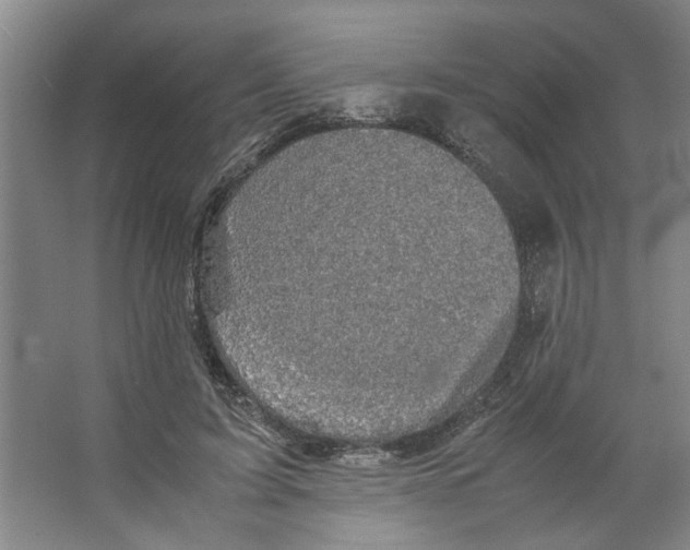 X0000066520595200604141816