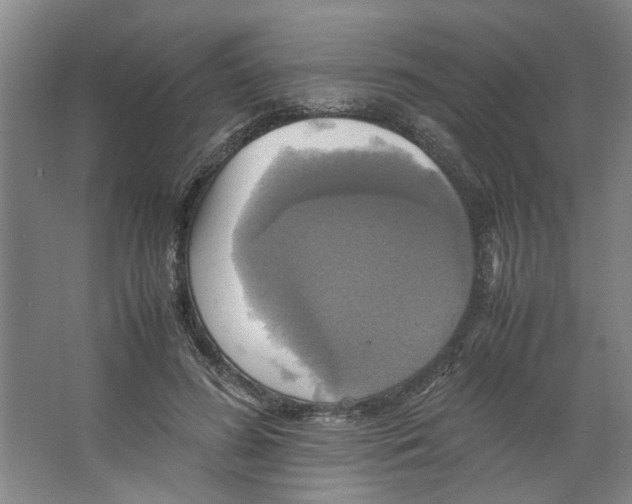 X0000066520596200604141816