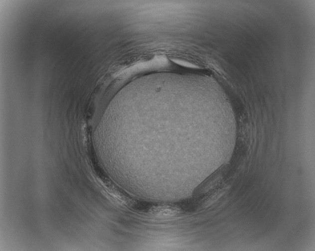 X0000066520597200604141816