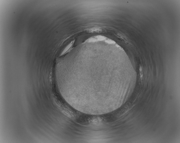 X0000066520600200604141816