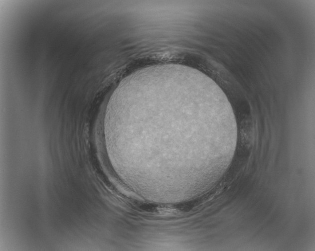 X0000066520605200604141816