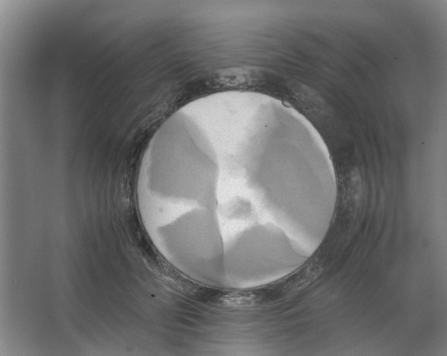 X0000066520606200604141816