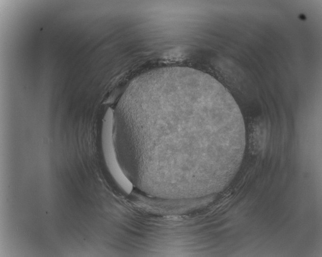 X0000066520608200604141816