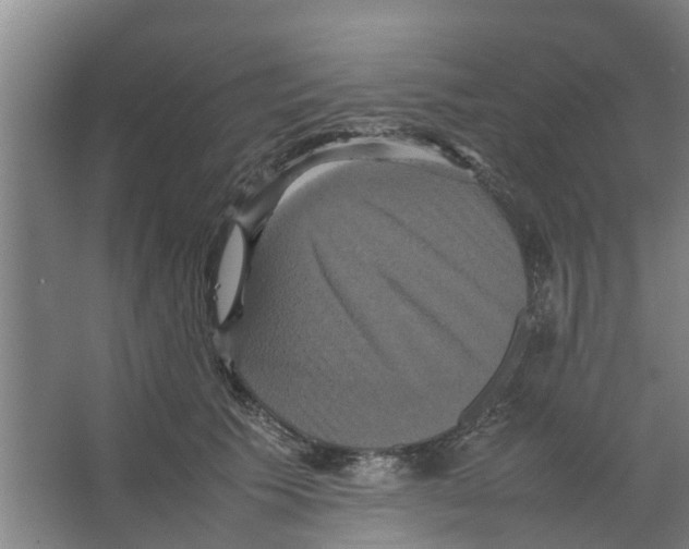 X0000066520609200604141816