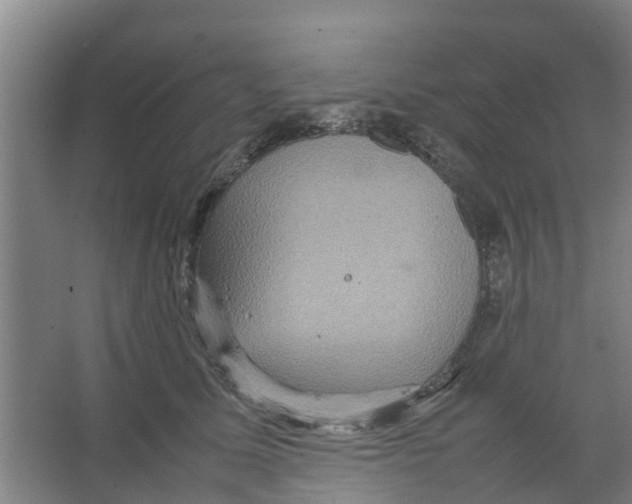 X0000066520611200604141816