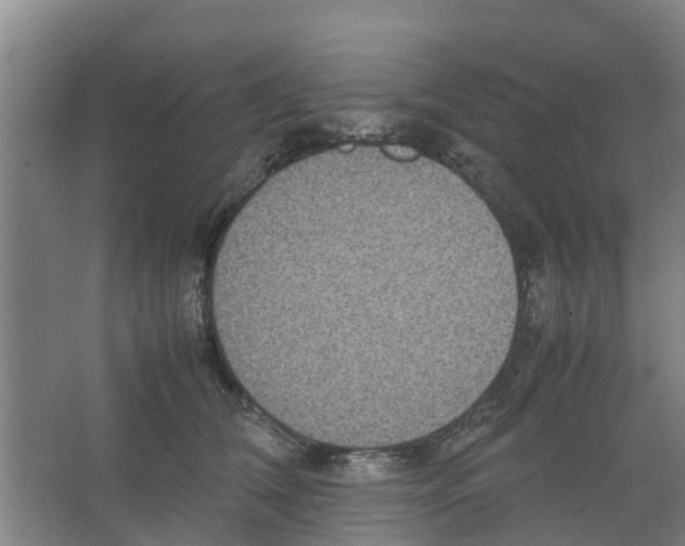 X0000066520612200604141816