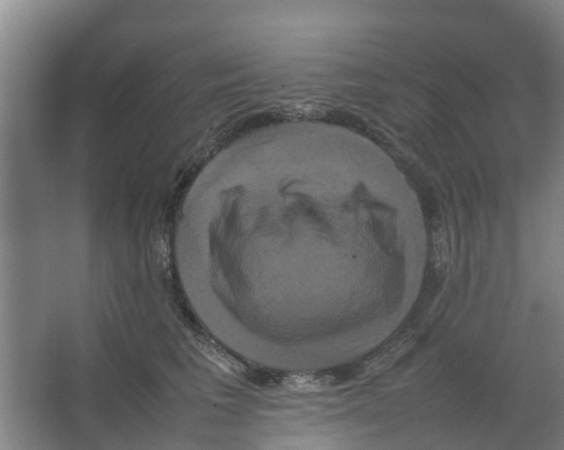 X0000066520613200604141816