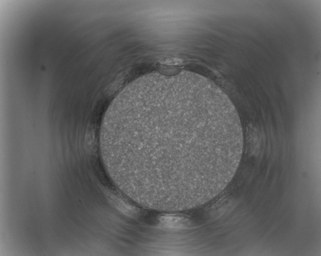 X0000066520614200604141816