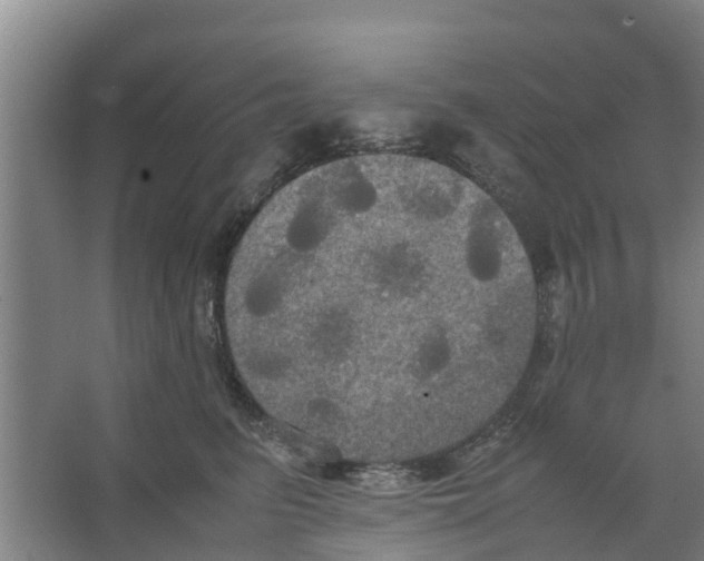 X0000066520615200604141815