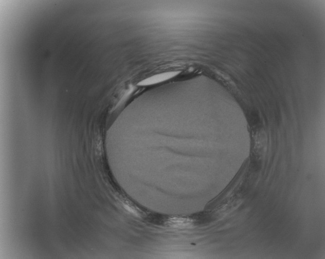 X0000066520617200604141815