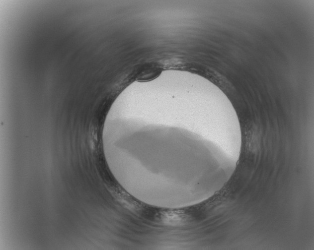 X0000066520618200604141815