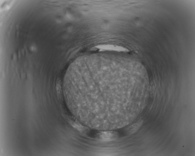 X0000066520623200604141815