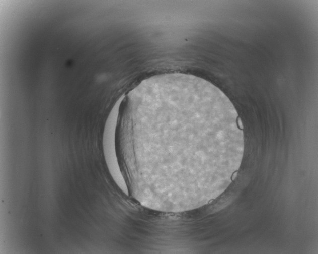 X0000066520624200604141815