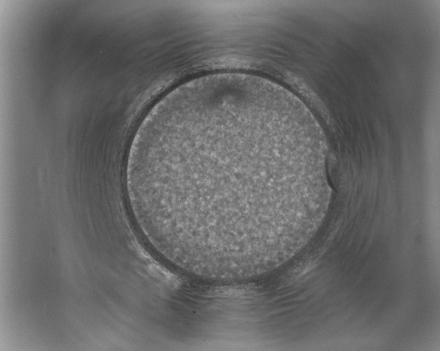 X0000066520625200604141815