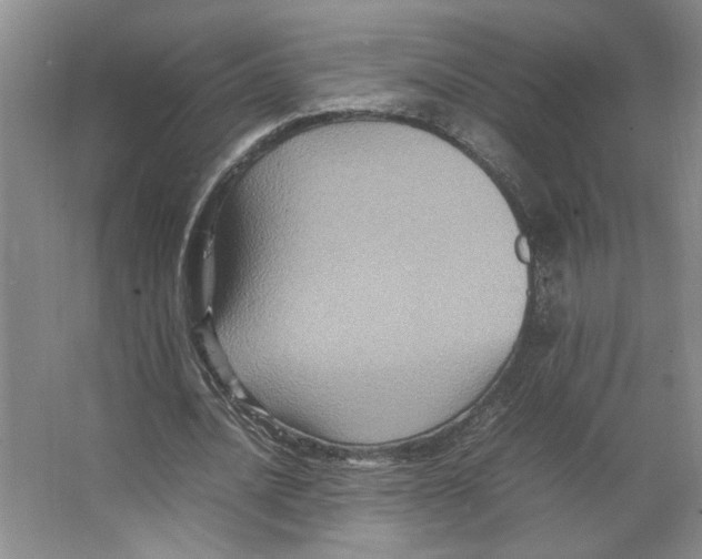 X0000066520628200604141815