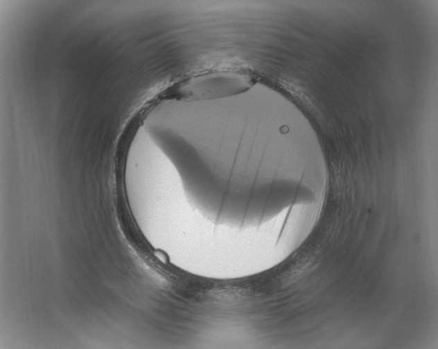 X0000066520630200604141815