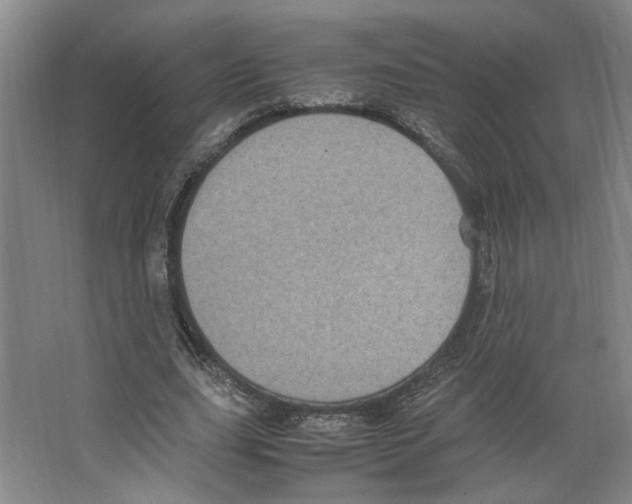 X0000066520631200604141815