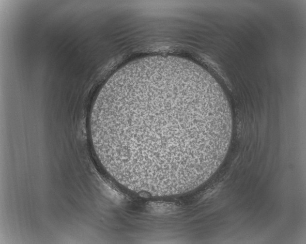 X0000066520633200604141815