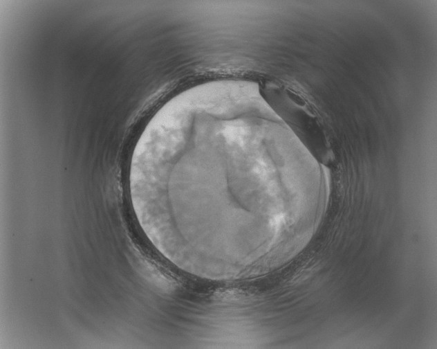 X0000066520634200604141815