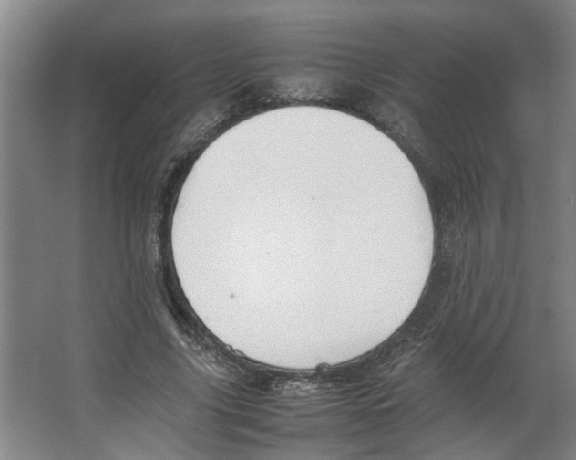 X0000066520635200604141815