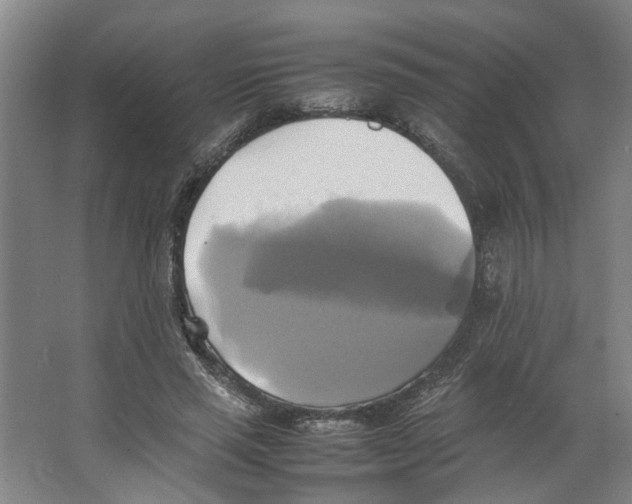 X0000066520637200604141815