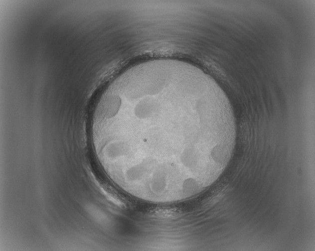 X0000066520638200604141815