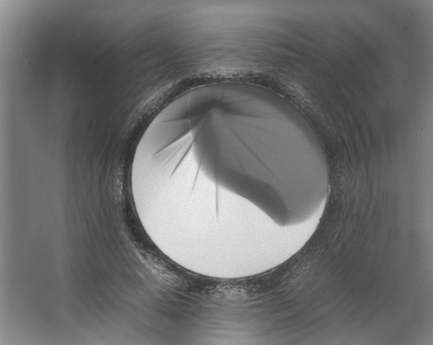 X0000066520640200604141815