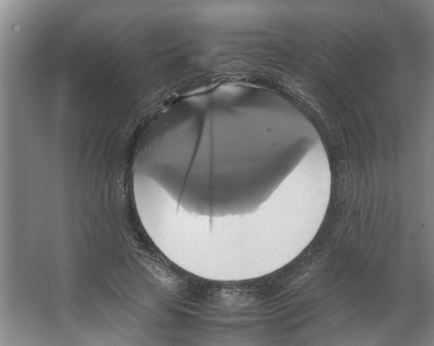 X0000066520641200604141815