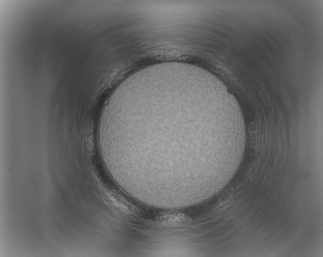 X0000066520642200604141815