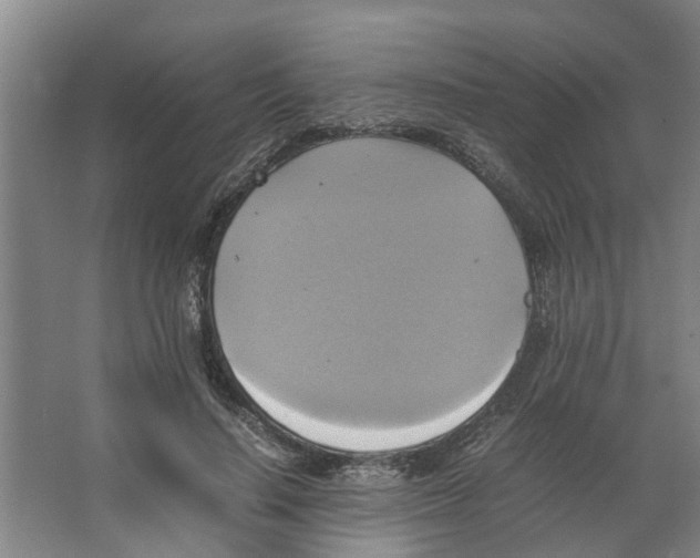 X0000066520644200604141815