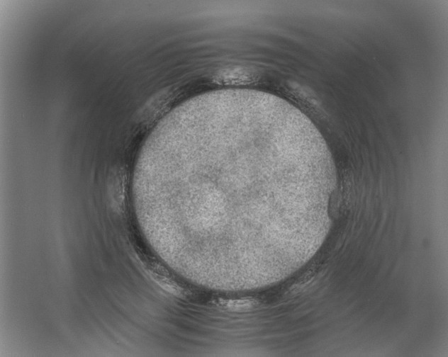 X0000066520645200604141815