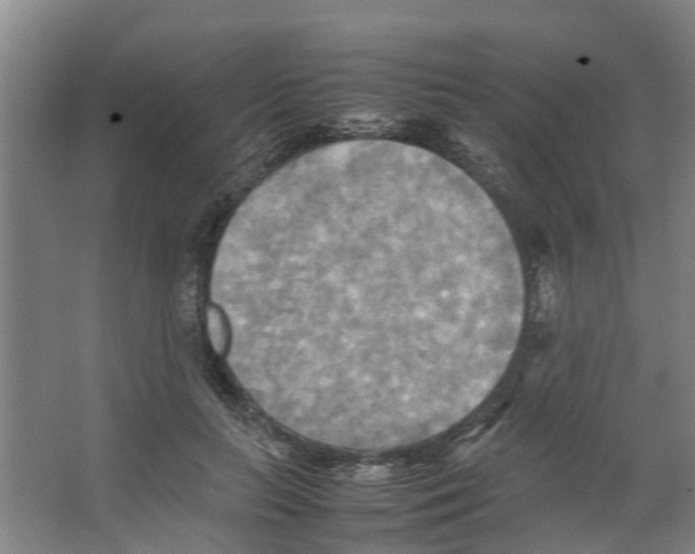 X0000066520647200604141815