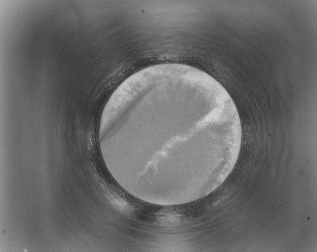 X0000066520648200604141815