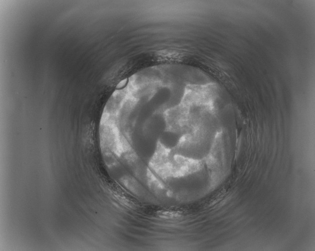 X0000066520649200604141815