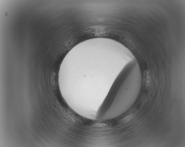 X0000066520650200604141815