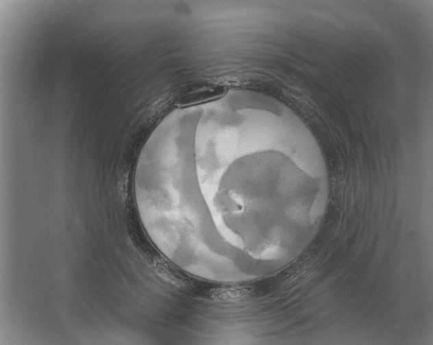 X0000066520652200604141815