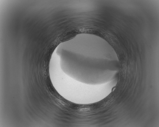 X0000066520653200604141815