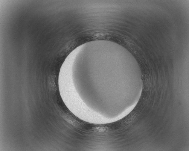 X0000066520654200604141815