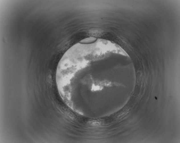 X0000066520655200604141815