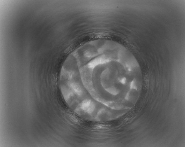 X0000066520657200604141815