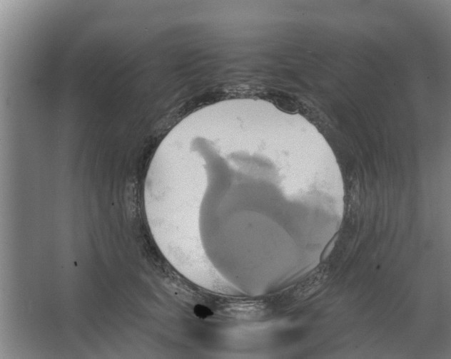 X0000066520659200604141815