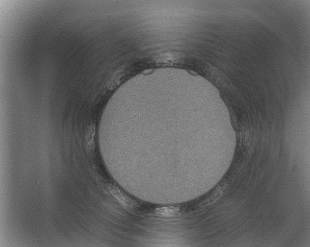 X0000066520660200604141815