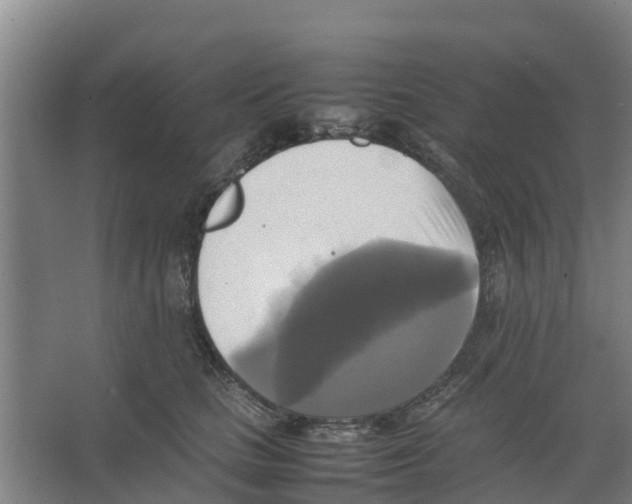 X0000066520661200604141815