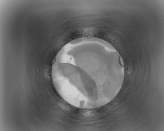 X0000066520663200604141815